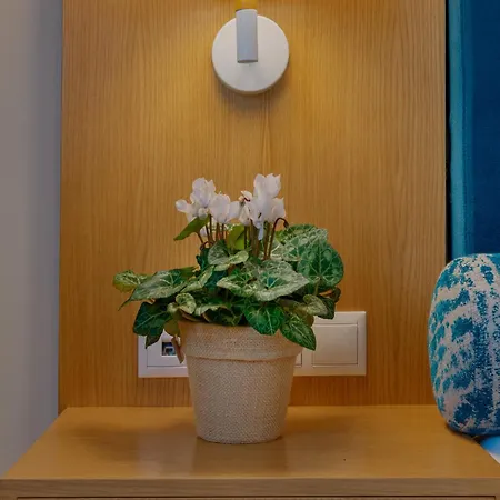 Dolphin Bay Seaside & 4* Galissas