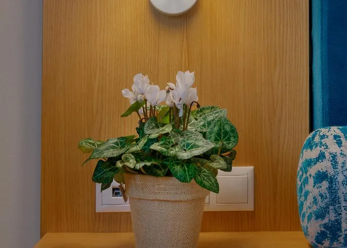 Dolphin Bay Seaside & 4* Galissas