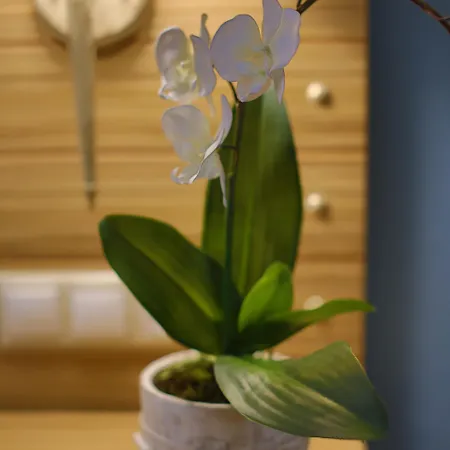 Hotel Dolphin Bay Seaside & Galissas