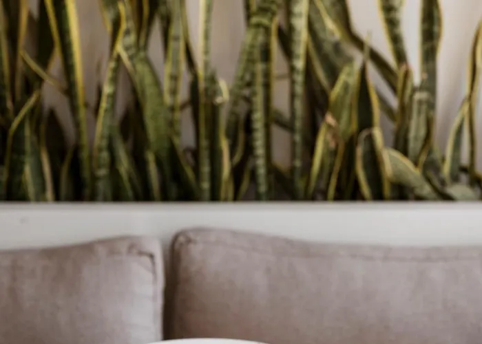 Dolphin Bay Seaside & Otel Galissas